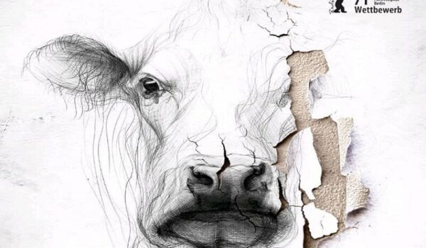 پوستر فیلم سینمایی «قصیده گاو سفید» به کارگردانی بهتاش صناعی‌ها